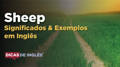 O que Sheep significa em ingles