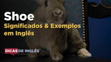 O que Shoe significa em ingles