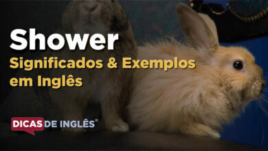 O que Shower significa em ingles