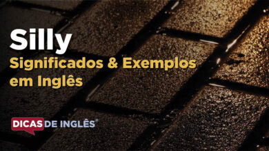 O que Silly significa em ingles
