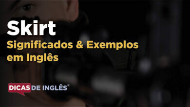 O que Skirt significa em ingles