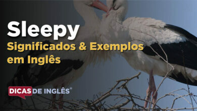 O que Sleepy significa em ingles