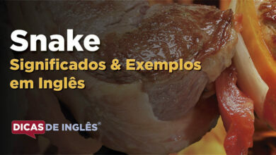 O que Snake significa em ingles