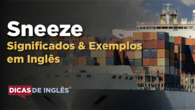 O que Sneeze significa em ingles