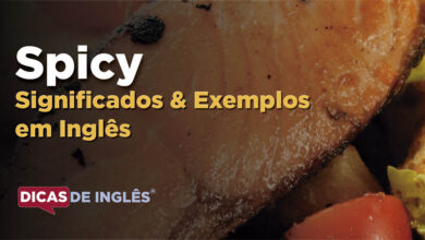 O que Spicy significa em ingles
