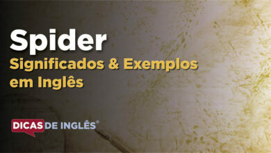 O que Spider significa em ingles