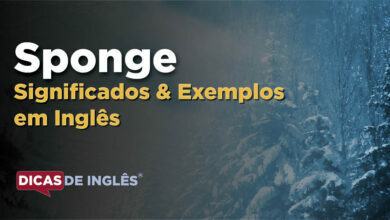 O que Sponge significa em ingles