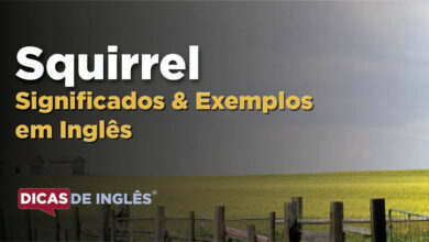 O que Squirrel significa em ingles