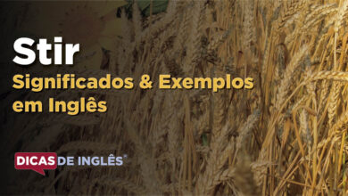 O que Stir significa em ingles