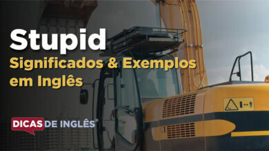 O que Stupid significa em ingles