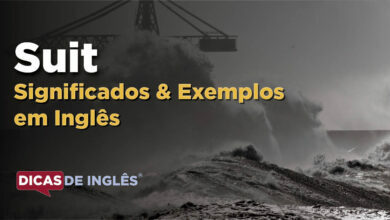O que Suit significa em ingles