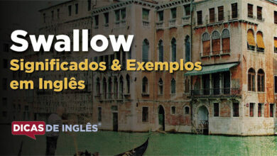 O que Swallow significa em ingles