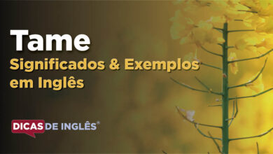 O que Tame significa em ingles