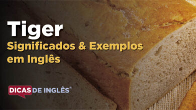 O que Tiger significa em ingles