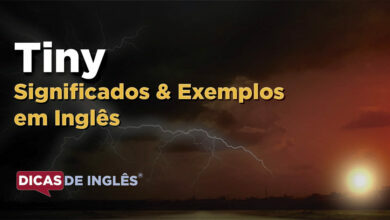 O que Tiny significa em ingles