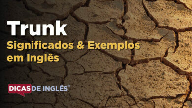 O que Trunk significa em ingles