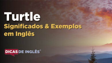 O que Turtle significa em ingles