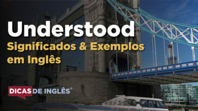 O que Understood significa em ingles