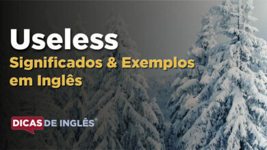 O que Useless significa em ingles