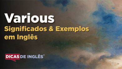 O que Various significa em ingles