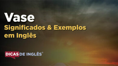 O que Vase significa em ingles
