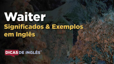 O que Waiter significa em ingles