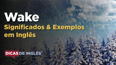 O que Wake significa em ingles
