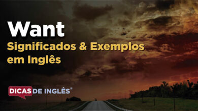 O que Want significa em ingles