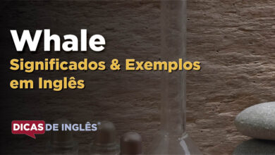 O que Whale significa em ingles