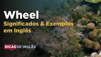 O que Wheel significa em ingles