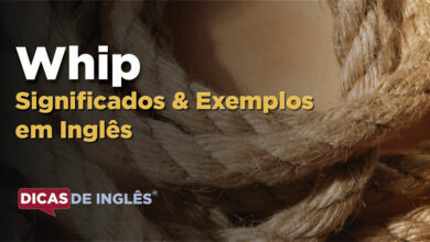 O que Whip significa em ingles