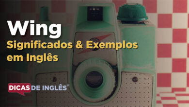 O que Wing significa em ingles