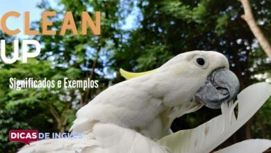 O que clean up significa em ingles