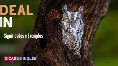 O que deal in significa em ingles