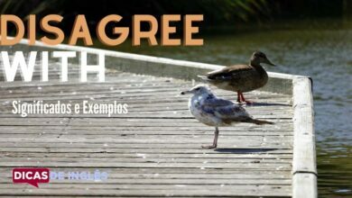 O que disagree with significa em ingles