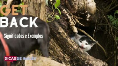 O que get back significa em ingles