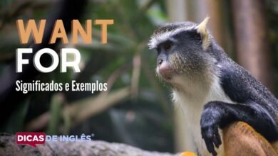 O que want for significa em ingles